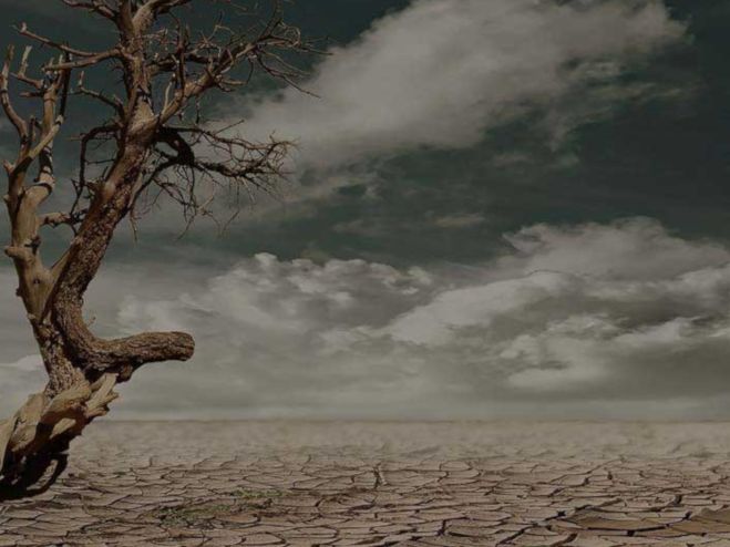 Apocalipsis natura escape room