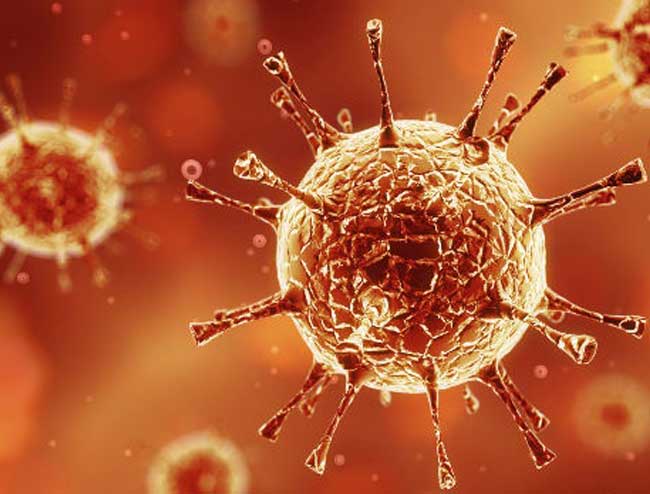 El virus  escape room